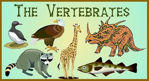 VERTEBRATES