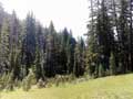 Crater Lake-Castle Crest